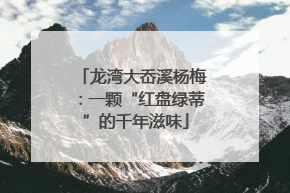 龙湾大岙溪杨梅：一颗“红盘绿蒂”的千年滋味
