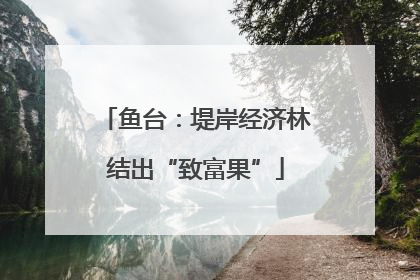 鱼台：堤岸经济林结出“致富果”