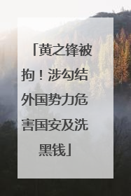 黄之锋被拘！涉勾结外国势力危害国安及洗黑钱