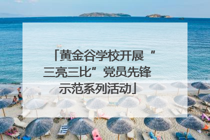 黄金谷学校开展“三亮三比”党员先锋示范系列活动