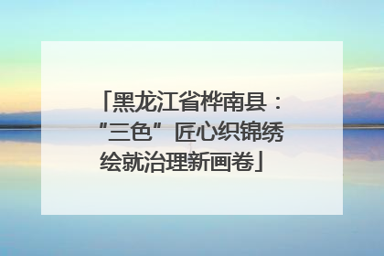 黑龙江省桦南县：“三色”匠心织锦绣 绘就治理新画卷