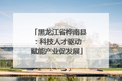 黑龙江省桦南县：科技人才驱动 赋能产业促发展