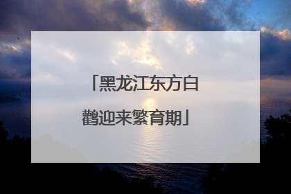 黑龙江东方白鹳迎来繁育期