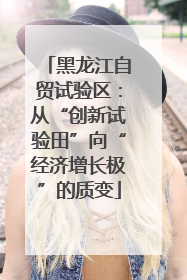 黑龙江自贸试验区：从“创新试验田”向“经济增长极”的质变