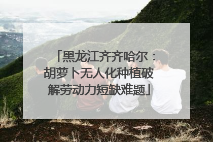 黑龙江齐齐哈尔：胡萝卜无人化种植破解劳动力短缺难题