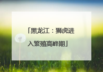 黑龙江：狮虎进入繁殖高峰期