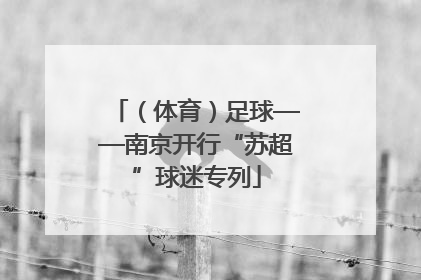 （体育）足球——南京开行“苏超”球迷专列