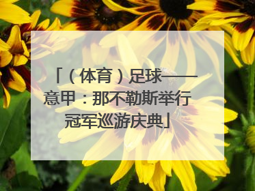 （体育）足球——意甲：那不勒斯举行冠军巡游庆典
