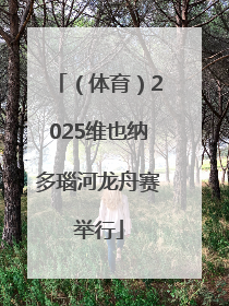 （体育）2025维也纳多瑙河龙舟赛举行