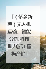 （侨乡新貌）无人机运输、智能分拣 科技助力浙江杨梅产销