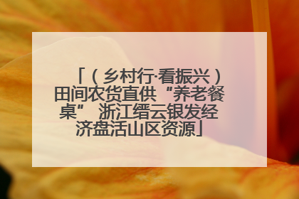 （乡村行·看振兴）田间农货直供“养老餐桌” 浙江缙云银发经济盘活山区资源