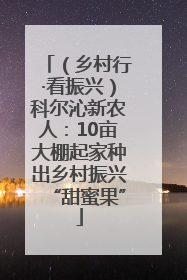 （乡村行·看振兴）科尔沁新农人：10亩大棚起家种出乡村振兴“甜蜜果”