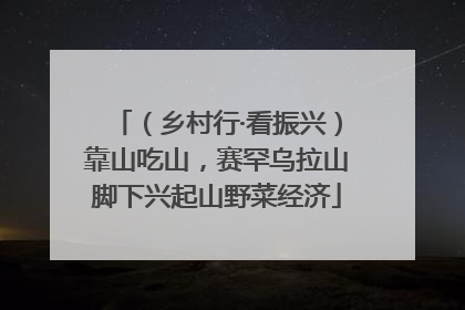 （乡村行·看振兴）靠山吃山，赛罕乌拉山脚下兴起山野菜经济