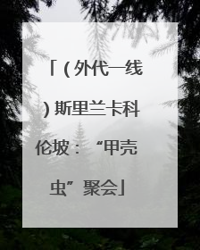 （外代一线）斯里兰卡科伦坡：“甲壳虫”聚会