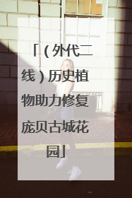 （外代二线）历史植物助力修复庞贝古城花园