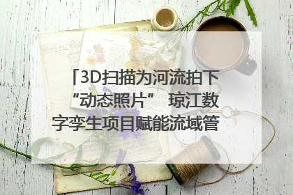 3D扫描为河流拍下“动态照片” 琼江数字孪生项目赋能流域管理｜新闻发布最前线