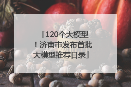 120个大模型！济南市发布首批大模型推荐目录