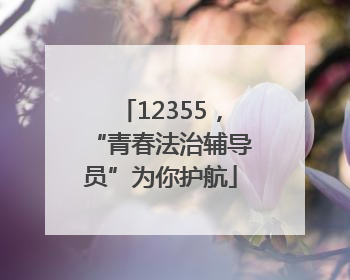 12355，“青春法治辅导员”为你护航