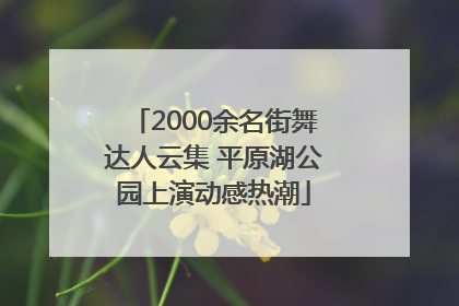 2000余名街舞达人云集 平原湖公园上演动感热潮