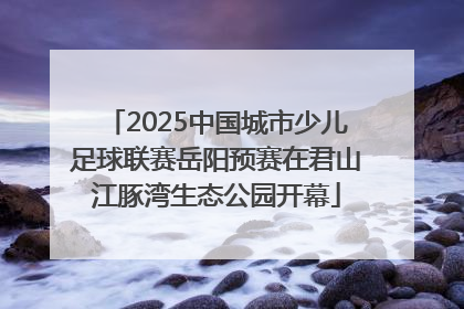 2025中国城市少儿足球联赛岳阳预赛在君山江豚湾生态公园开幕