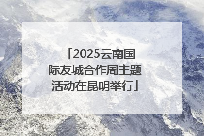 2025云南国际友城合作周主题活动在昆明举行