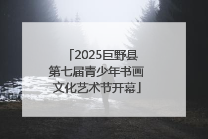 2025巨野县第七届青少年书画文化艺术节开幕