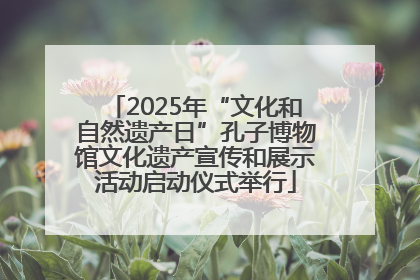 2025年“文化和自然遗产日”孔子博物馆文化遗产宣传和展示活动启动仪式举行