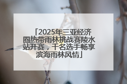 2025年三亚经济圈热带雨林挑战赛陵水站开赛，千名选手畅享滨海雨林风情