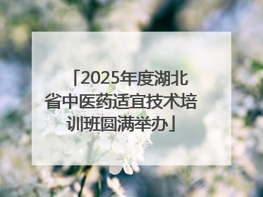 2025年度湖北省中医药适宜技术培训班圆满举办