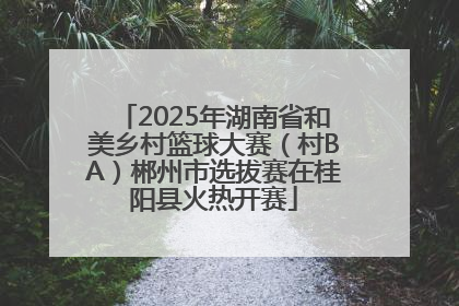 2025年湖南省和美乡村篮球大赛（村BA）郴州市选拔赛在桂阳县火热开赛