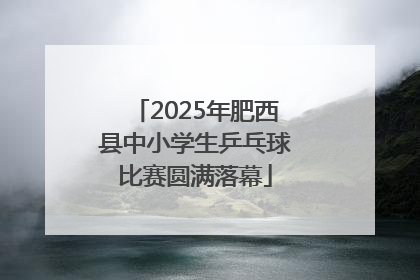 2025年肥西县中小学生乒乓球比赛圆满落幕