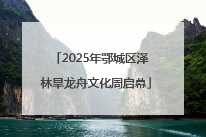 2025年鄂城区泽林旱龙舟文化周启幕