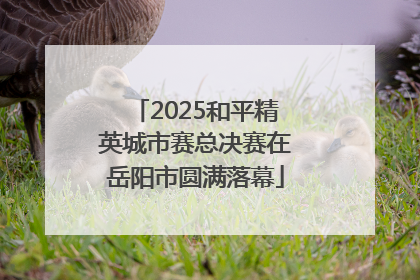 2025和平精英城市赛总决赛在岳阳市圆满落幕