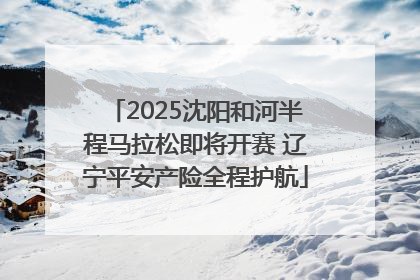 2025沈阳和河半程马拉松即将开赛 辽宁平安产险全程护航