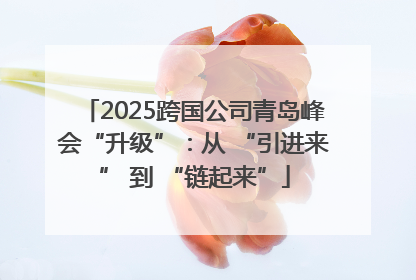 2025跨国公司青岛峰会“升级”：从 “引进来” 到 “链起来”