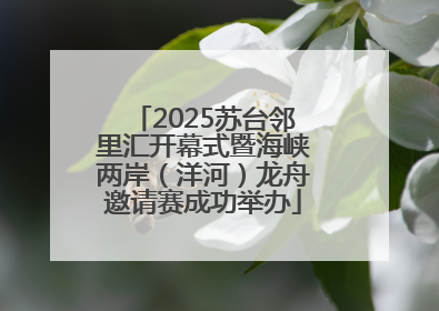 2025苏台邻里汇开幕式暨海峡两岸（洋河）龙舟邀请赛成功举办