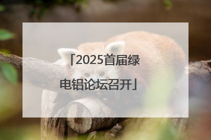 2025首届绿电铝论坛召开