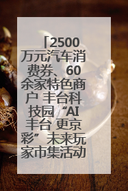 2500万元汽车消费券、60余家特色商户 丰台科技园“AI丰台 更京彩”未来玩家市集活动正式开幕