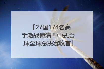 27国174名高手激战德清！中式台球全球总决赛收官