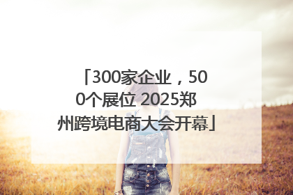 300家企业，500个展位 2025郑州跨境电商大会开幕