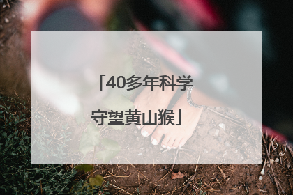 40多年科学守望黄山猴