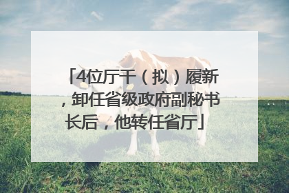 4位厅干（拟）履新，卸任省级政府副秘书长后，他转任省厅