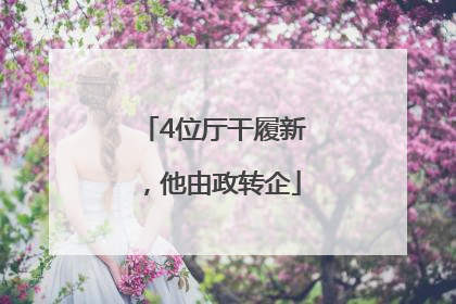 4位厅干履新，他由政转企