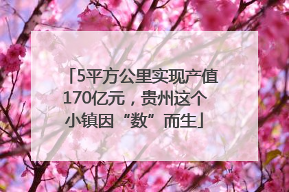 5平方公里实现产值170亿元，贵州这个小镇因“数”而生