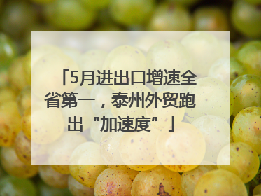5月进出口增速全省第一，泰州外贸跑出“加速度”