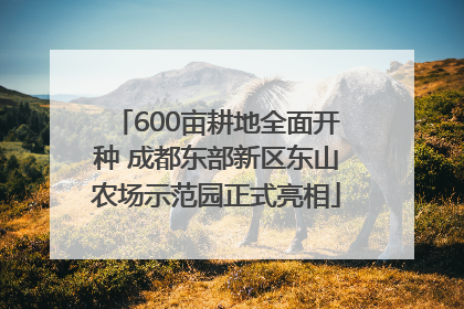 600亩耕地全面开种 成都东部新区东山农场示范园正式亮相