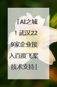 AI之城！武汉229家企业接入百度飞桨技术支持