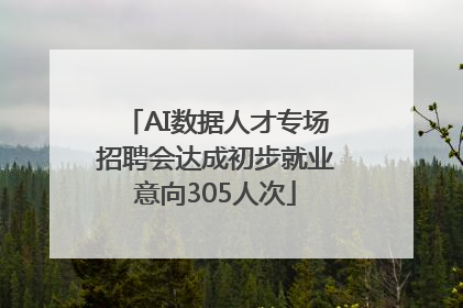 AI数据人才专场招聘会达成初步就业意向305人次