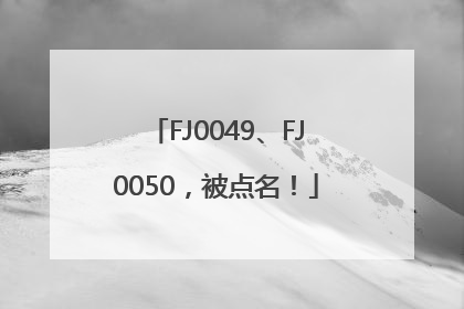 FJ0049、FJ0050，被点名！