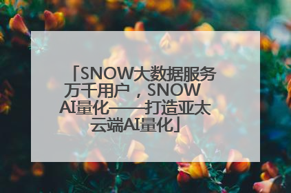 SNOW大数据服务万千用户，SNOW AI量化——打造亚太云端AI量化